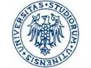 Logo dell'Università di Udine