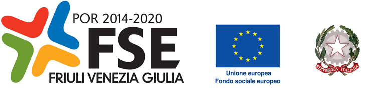 Regione Autonoma Friuli Venezia Giulia - Il Fondo Sociale Europeo (FSE) in  Friuli Venezia Giulia