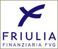 Finanziaria Regionale Friuli Venezia Giulia - Friulia S.p.A. 