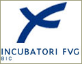 Friuli Venezia Giulia Strade S.p.A.