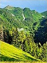 aree naturali 