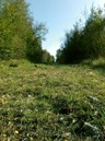 aspetti ambientali 