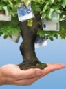 Supporto alla crescita dell'impresa