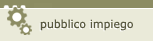 funzione pubblica e riforme