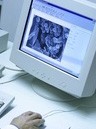 sviluppo, innovazione e qualità