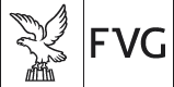 logo fvg