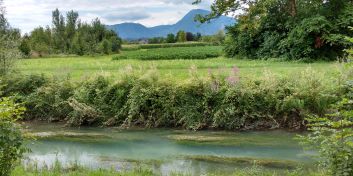 Il recupero della Roggia dei Mulini un dispositivo di lettura dei paesaggi della piana gemonese