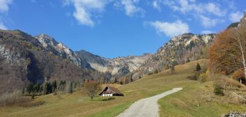 Allerta i sensi: rigenerazione dei paesaggi di alta quota sul Col Gentile Storie di luoghi, persone e natura tra Pani e Stavoli della Congregazione – Carnia 