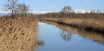 Miglioramento paesaggistico ed ecologico della zona dei boschi e degli usi civici di Muzzana 