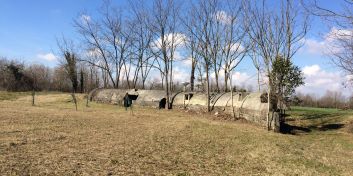 Recupero paesaggistico e ambientale della zona Boschetti