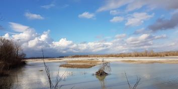 Paesaggi culturali e naturali lungo il Tagliamento