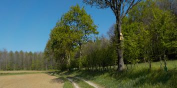 Turismo lento, biodiversità e cultura lungo la super ciclovia