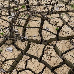 cambiamenti climatici