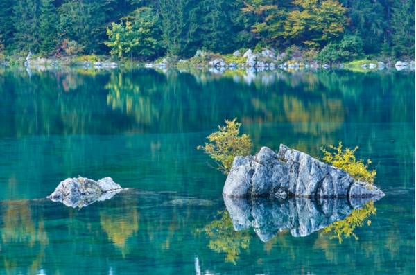 Particolare del secondo Lago di Fusine - Foto di Dario Di Gallo