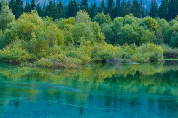 Particolare del secondo Lago di Fusine - Foto di Dario Di Gallo