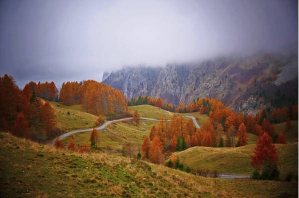 I boschi di larice in veste autunnale sulla strada per Pramosio - Foto di Giorgio Comuzzi