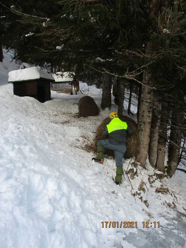 Intervento soccorso fauna in difficoltà - Foto archivio CFR