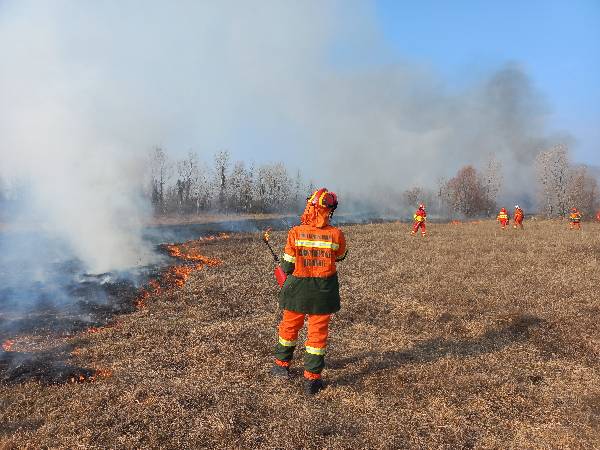 Realizzazione cantiere fuoco prescritto - Foto archivio CFR