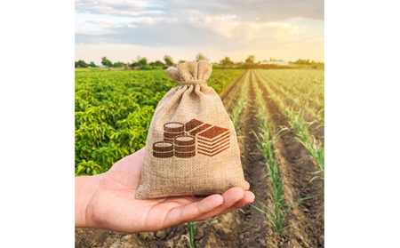 banner Programma Valore Agricoltura