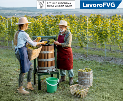 Lavoro Fvg Offerte Di Lavoro Stagionale Per Vendemmia 2020 Tabletquotidiano