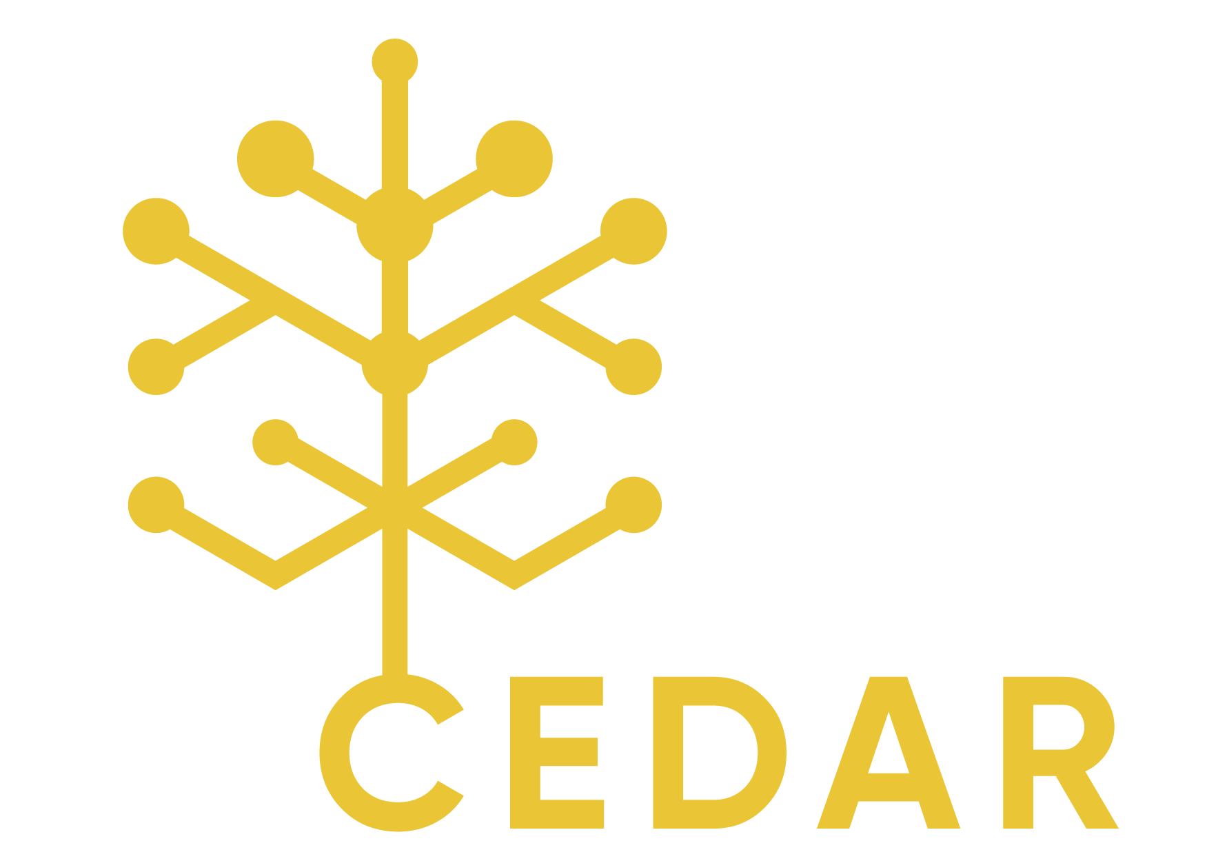 Logo del progetto CEDAR
