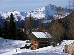 descrizione immagine